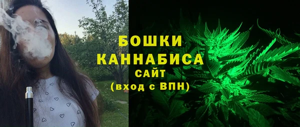 сатива Медвежьегорск