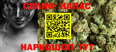 дмт Новозыбков