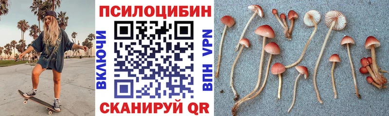 Галлюциногенные грибы Magic Shrooms  магазин  наркотиков  hydra ссылка  Шадринск 